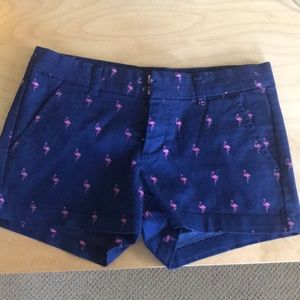 XS flamingo shorts from Francesca’s.